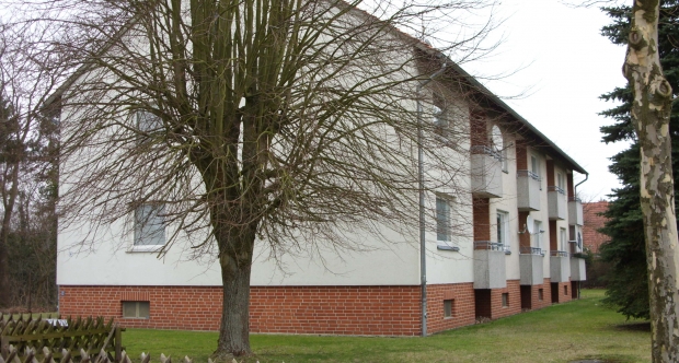 Eldingen - Knackendöffelstraße 6 - Foto 5
